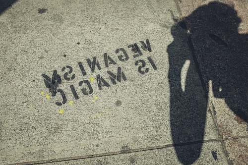 united states Veganism is Magic text rug